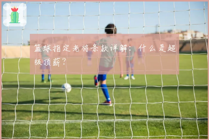 篮球指定老将条款详解：什么是超级顶薪？