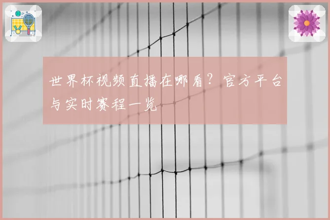 世界杯视频直播在哪看？官方平台与实时赛程一览