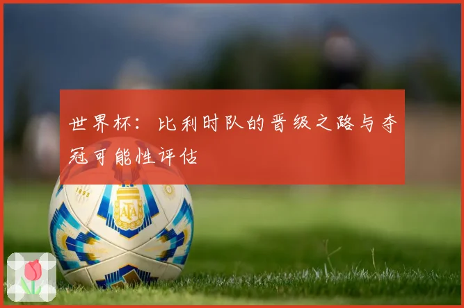 世界杯：比利时队的晋级之路与夺冠可能性评估